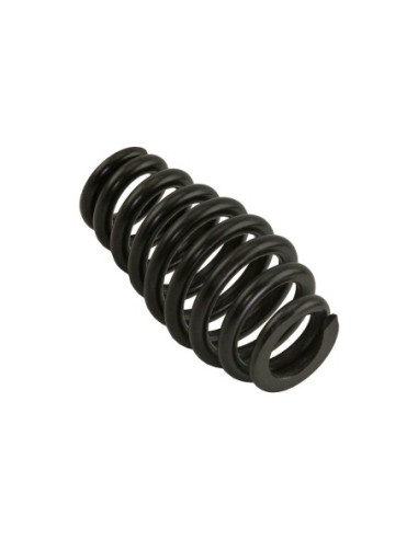 Spring Fork Spring Black.